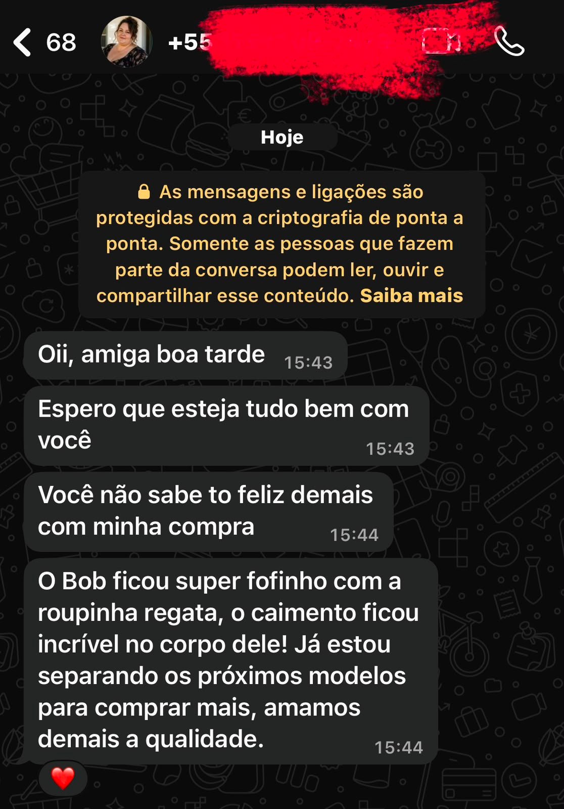 Depoimento WhatsApp 3
