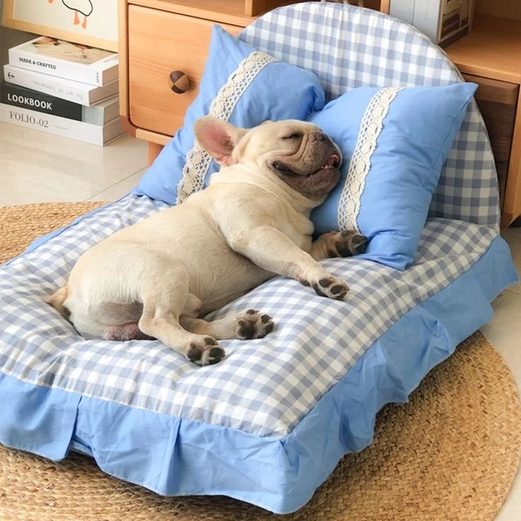 Modelo artesanal para cães 1